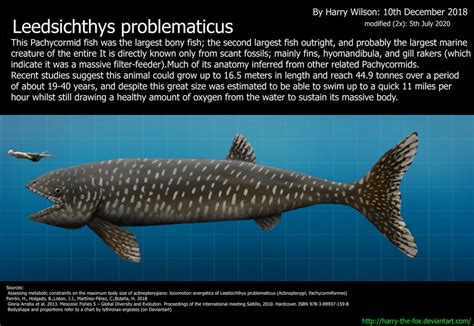 leedsichthys size